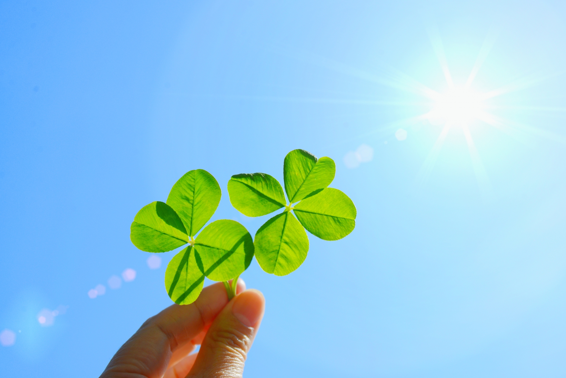 クローバーと空
