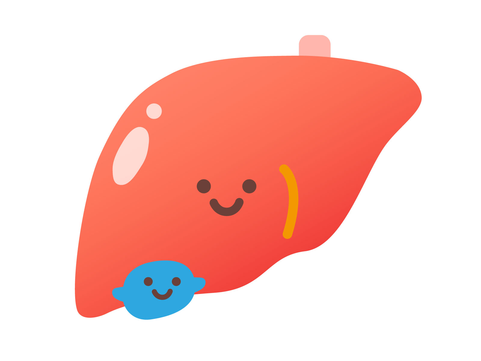 デフォルメされた肝臓のイラスト