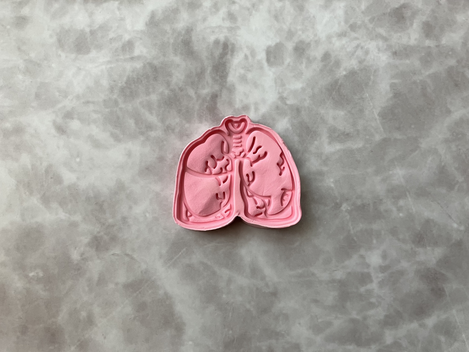 粘土で作った肺