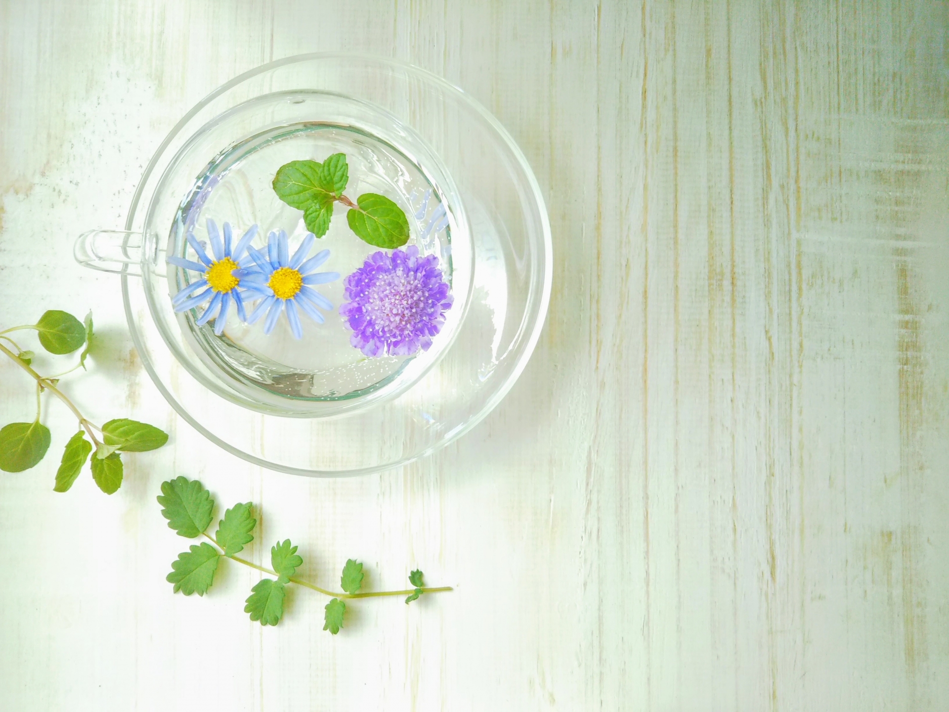 透明なガラスのティーカップに花が浮かんでいる様子
