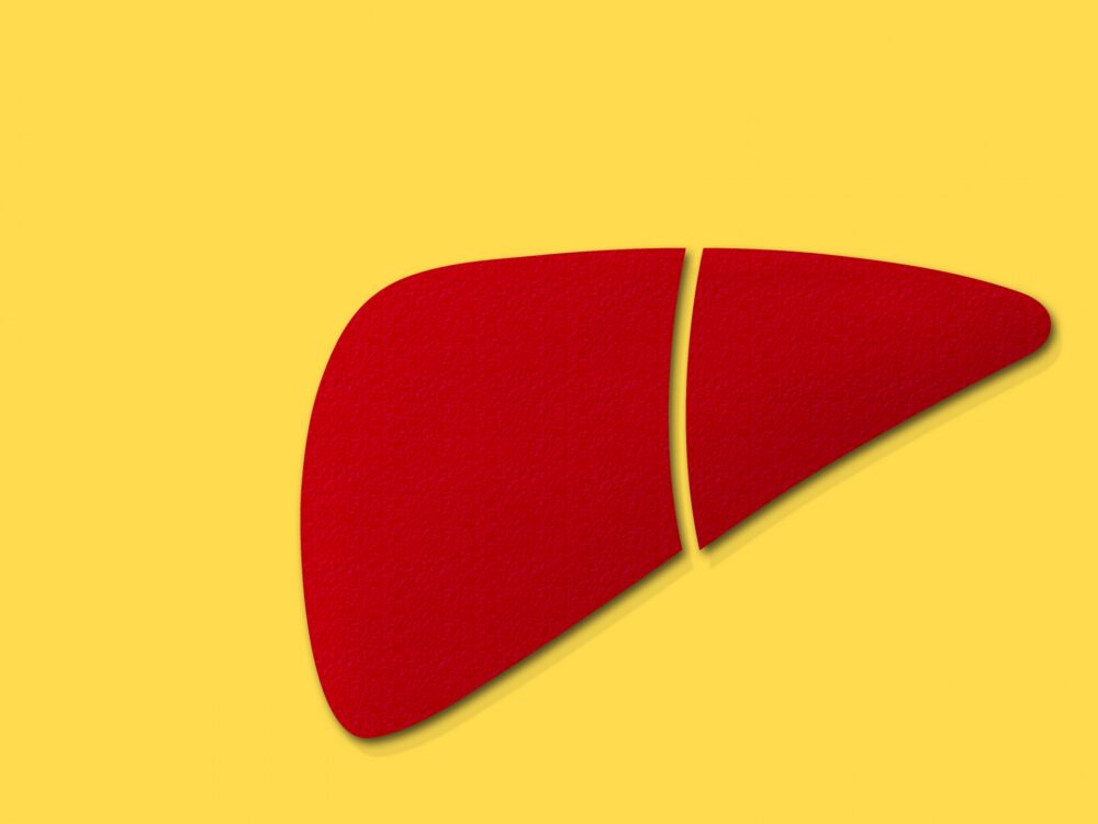 肝臓がんの主な原因と初期症状を徹底解説。肝炎との関係は？