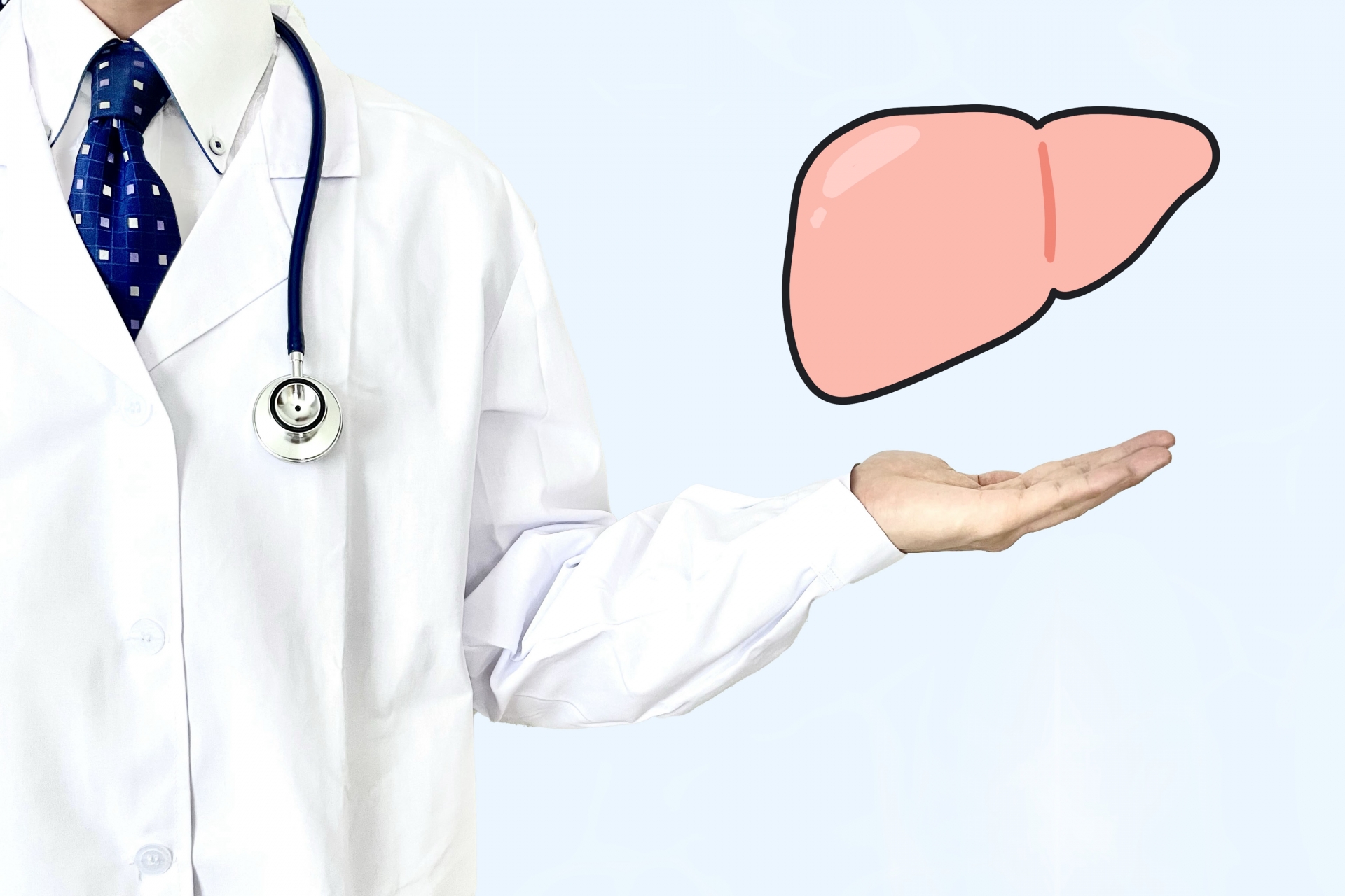医師と肝臓