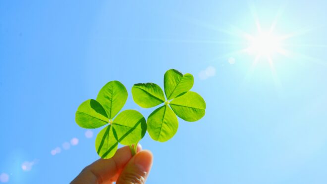 クローバーと空