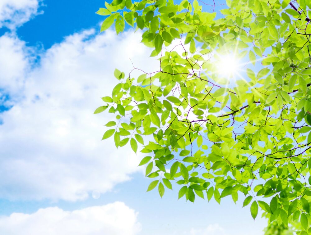 胆管がんの余命はどれくらい？ステージ別に見る生存率とは