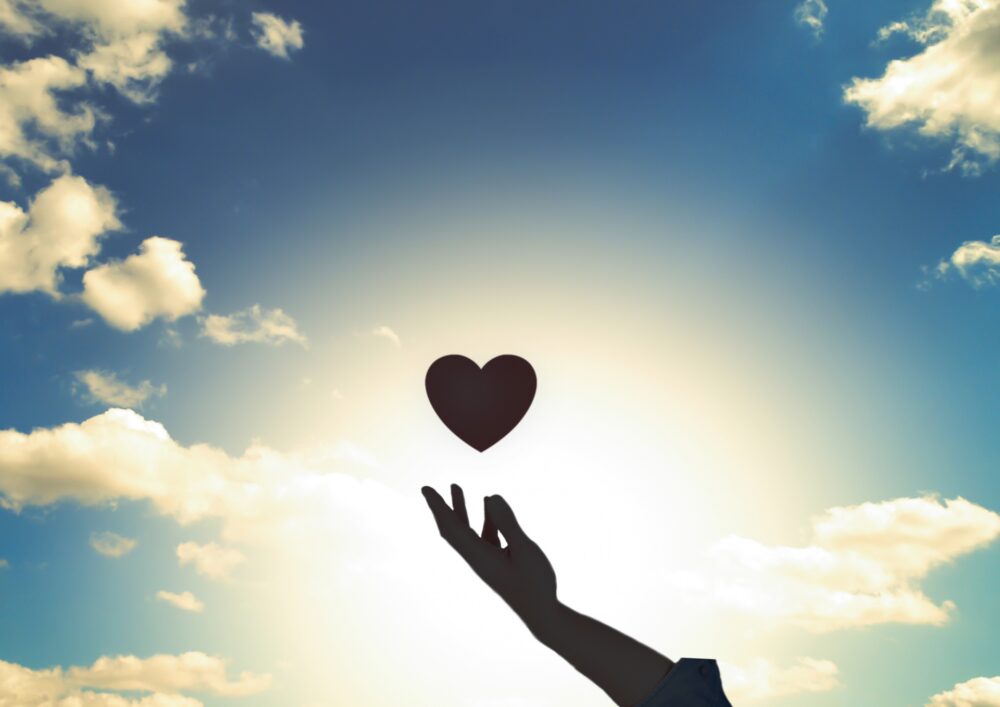 胆嚢がんの治る確率は？最新の生存率と治療選択肢を解説