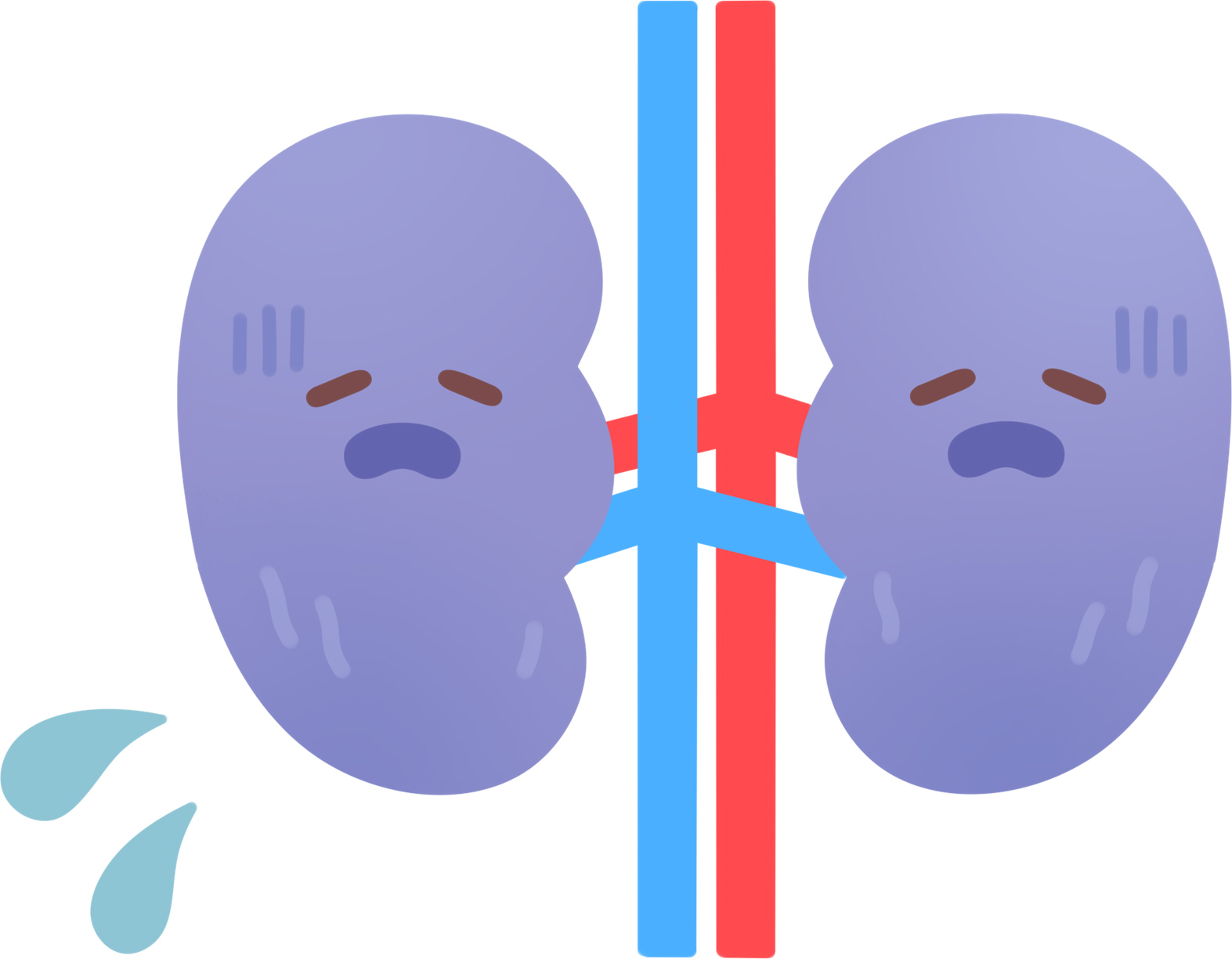 弱った腎臓のイラスト