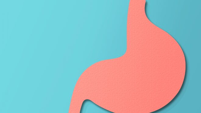 紙で切り抜いた胃