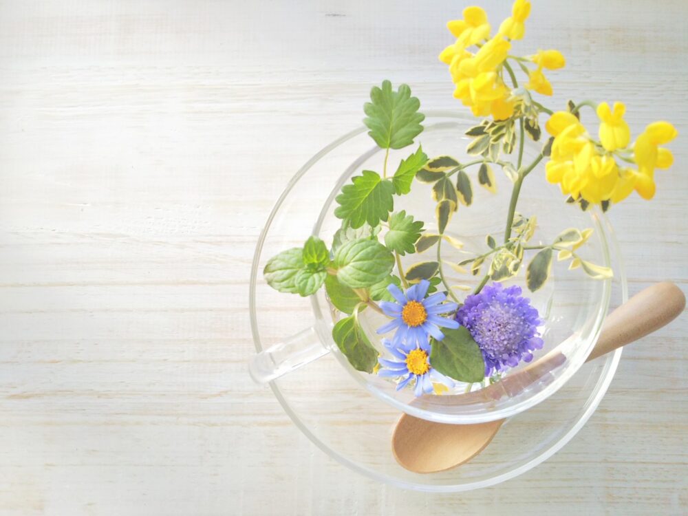 メラノーマの見分け方。ほくろとの違いや足の裏・爪のサインを解説