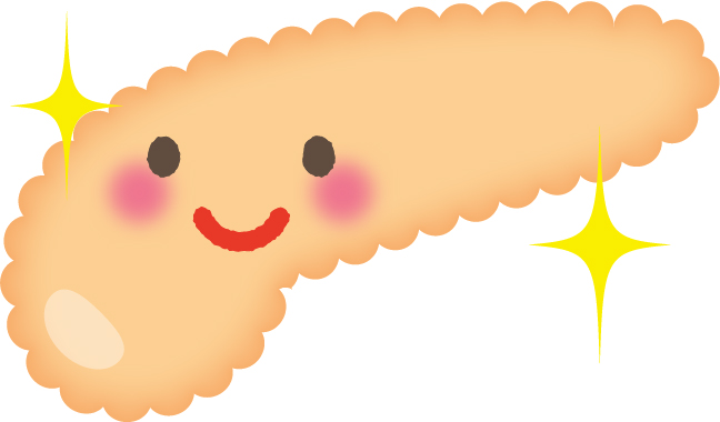 健康な膵臓のイラスト