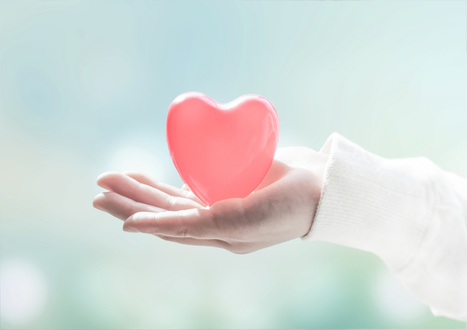 手のひらの上にピンクのハートを乗せた様子
