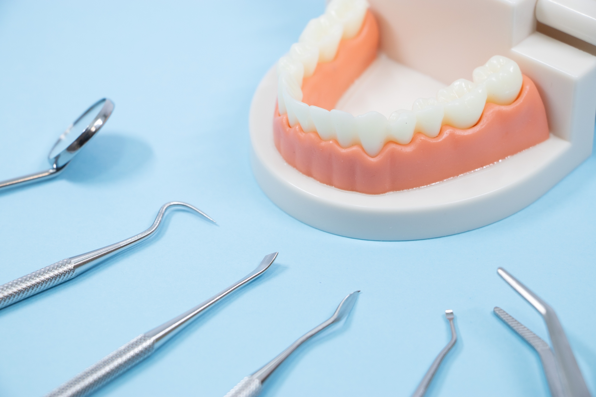 歯の模型と道具