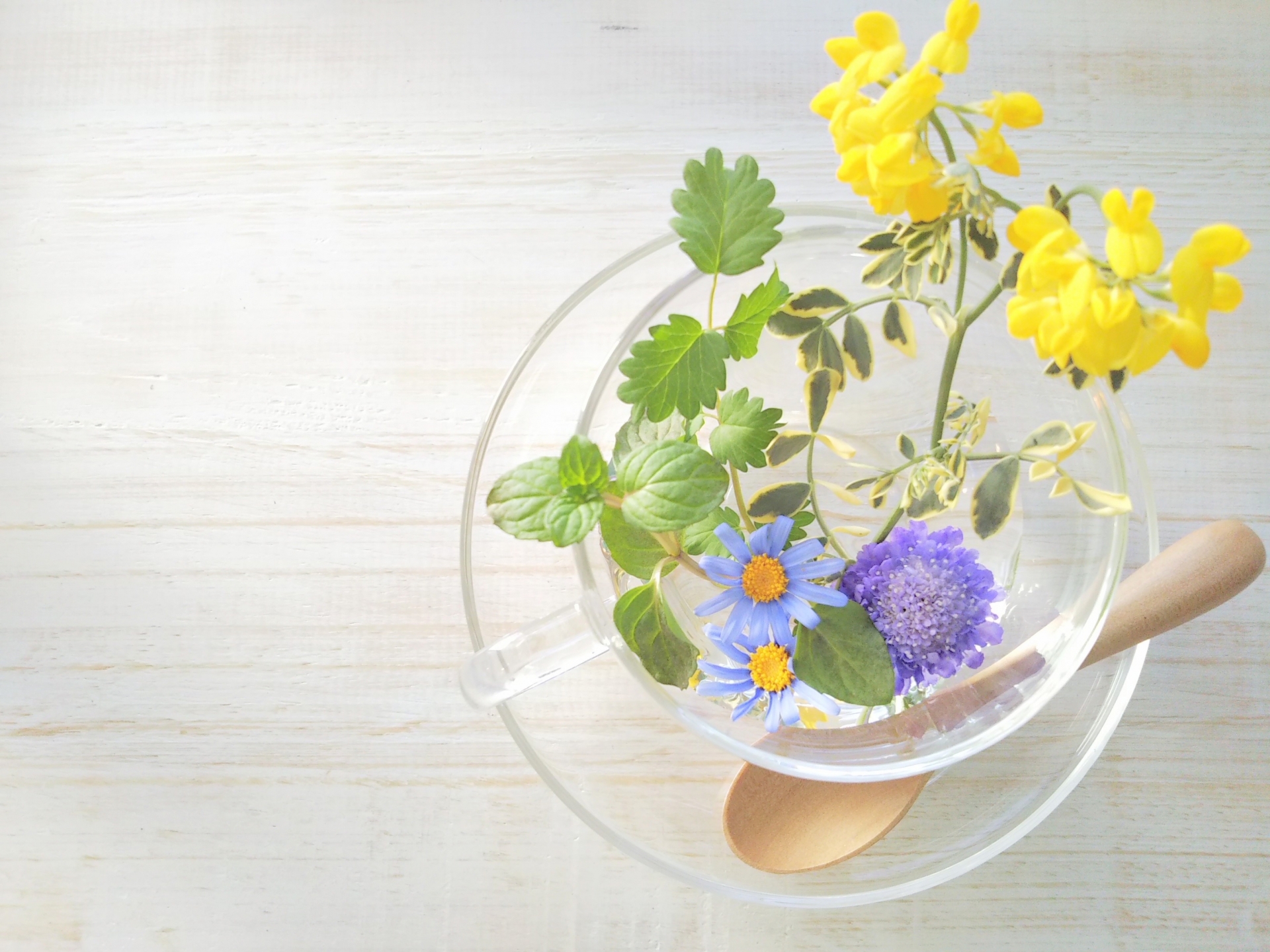 透明なティーカップに花とハーブが浮かんでいる様子