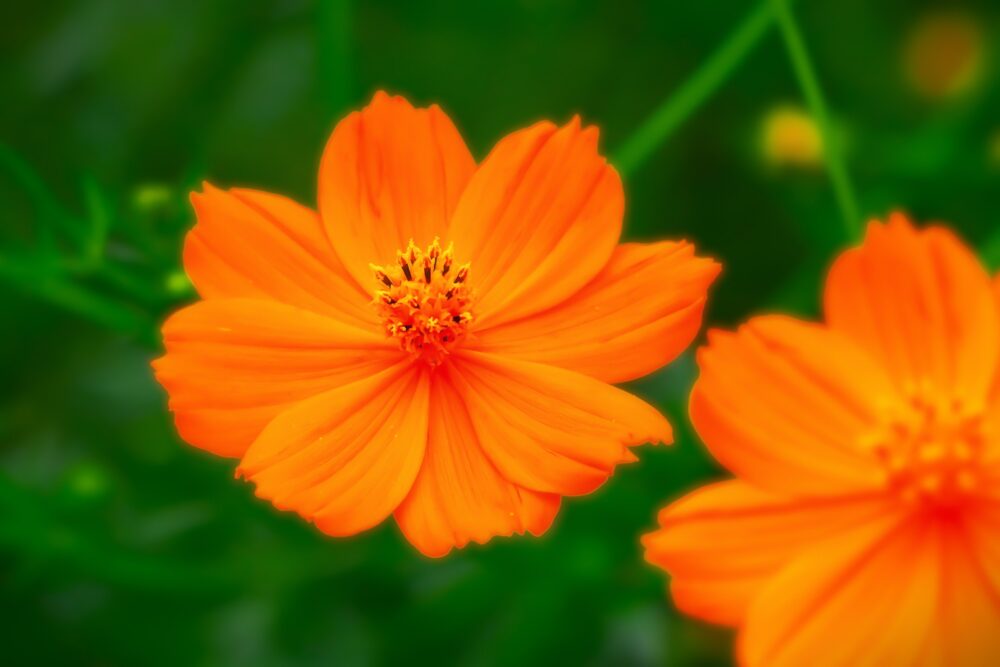 甲状腺がんの治療法とは？手術・放射線・薬物療法まで