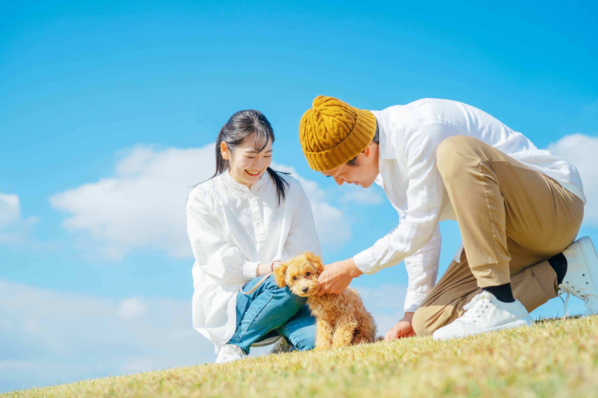 犬を散歩させる男女