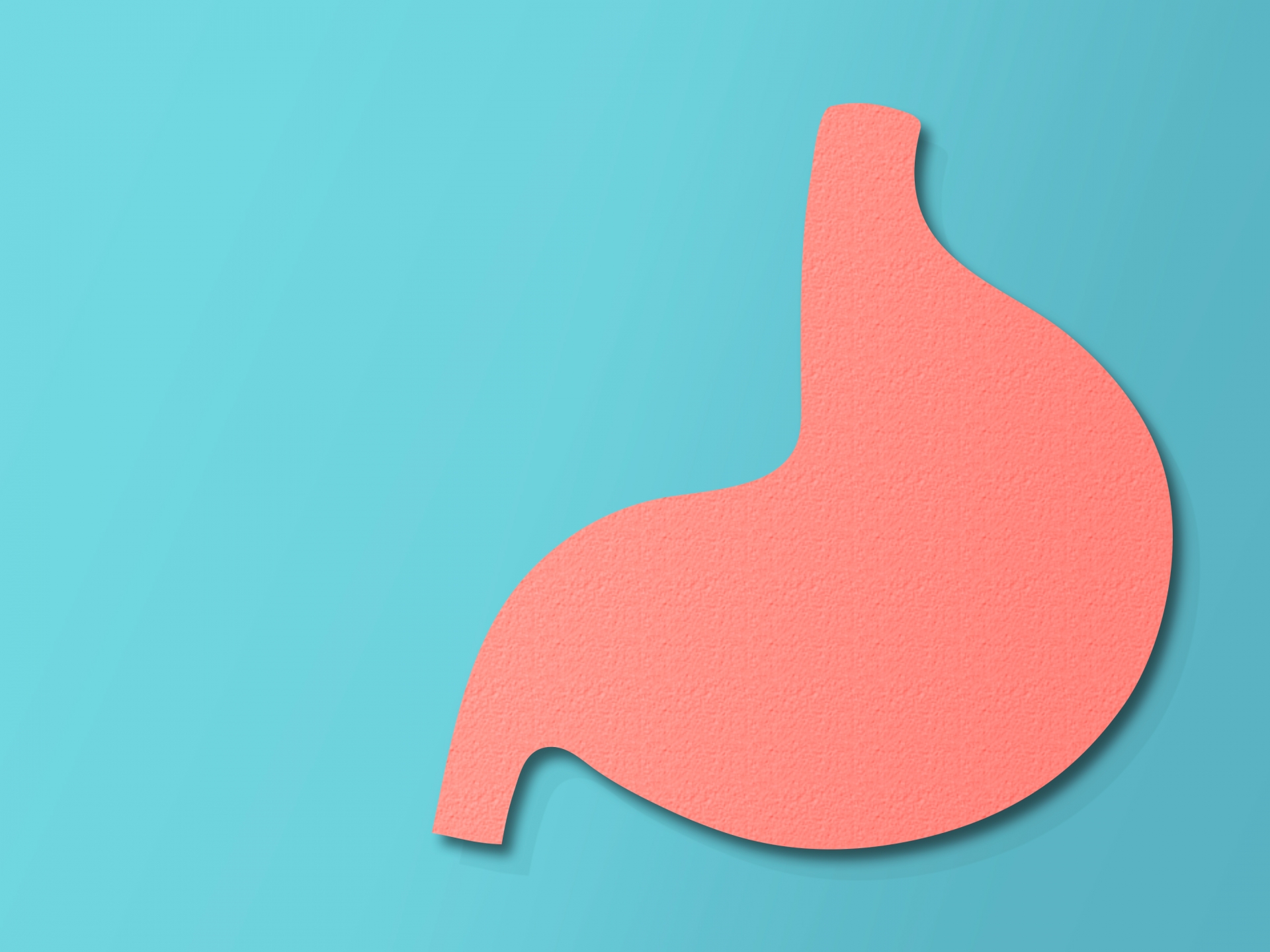 胃の形に切り取った紙