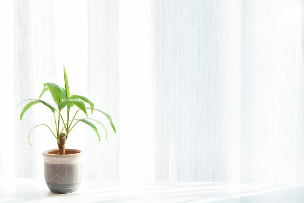 独身でがんになったら？入院・手術の「身元保証人」不在を乗り切る療養ガイド