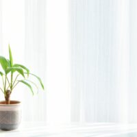 独身でがんになったら？入院・手術の「身元保証人」不在を乗り切る療養ガイド