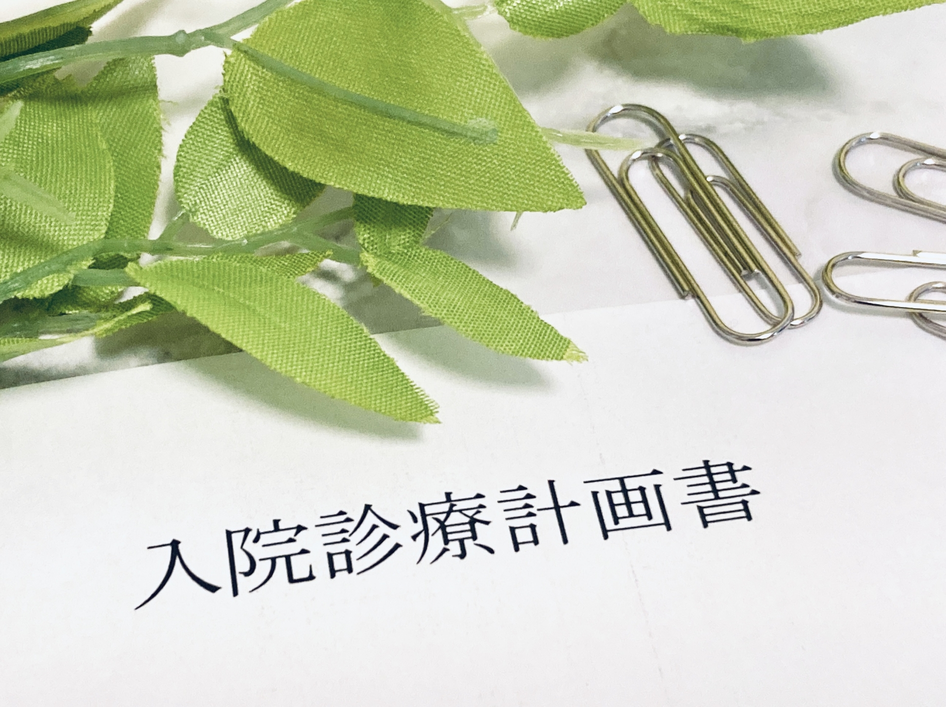 入院診療計画書と書かれた書類