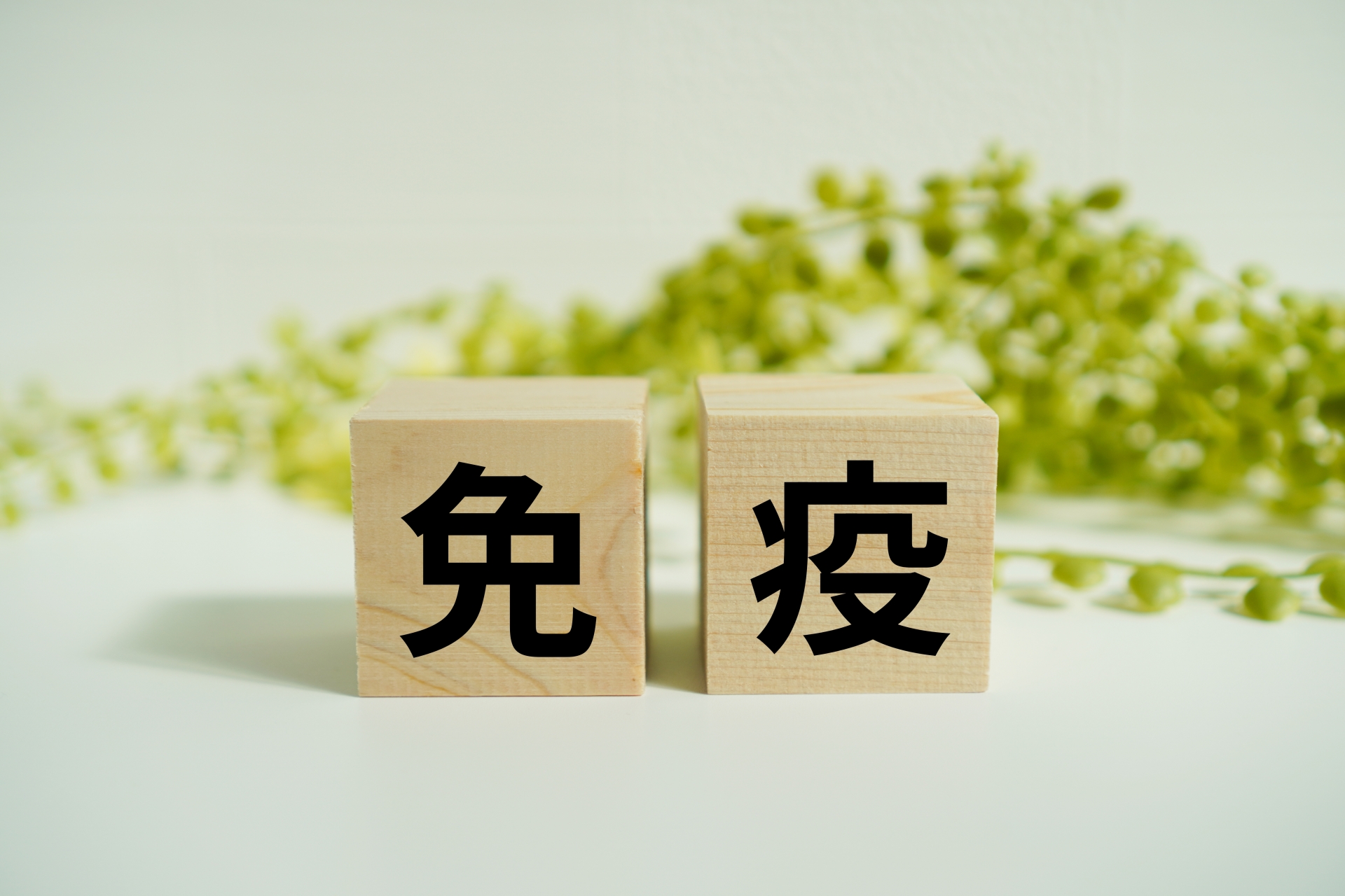 木のブロックに「免疫」と書かれている