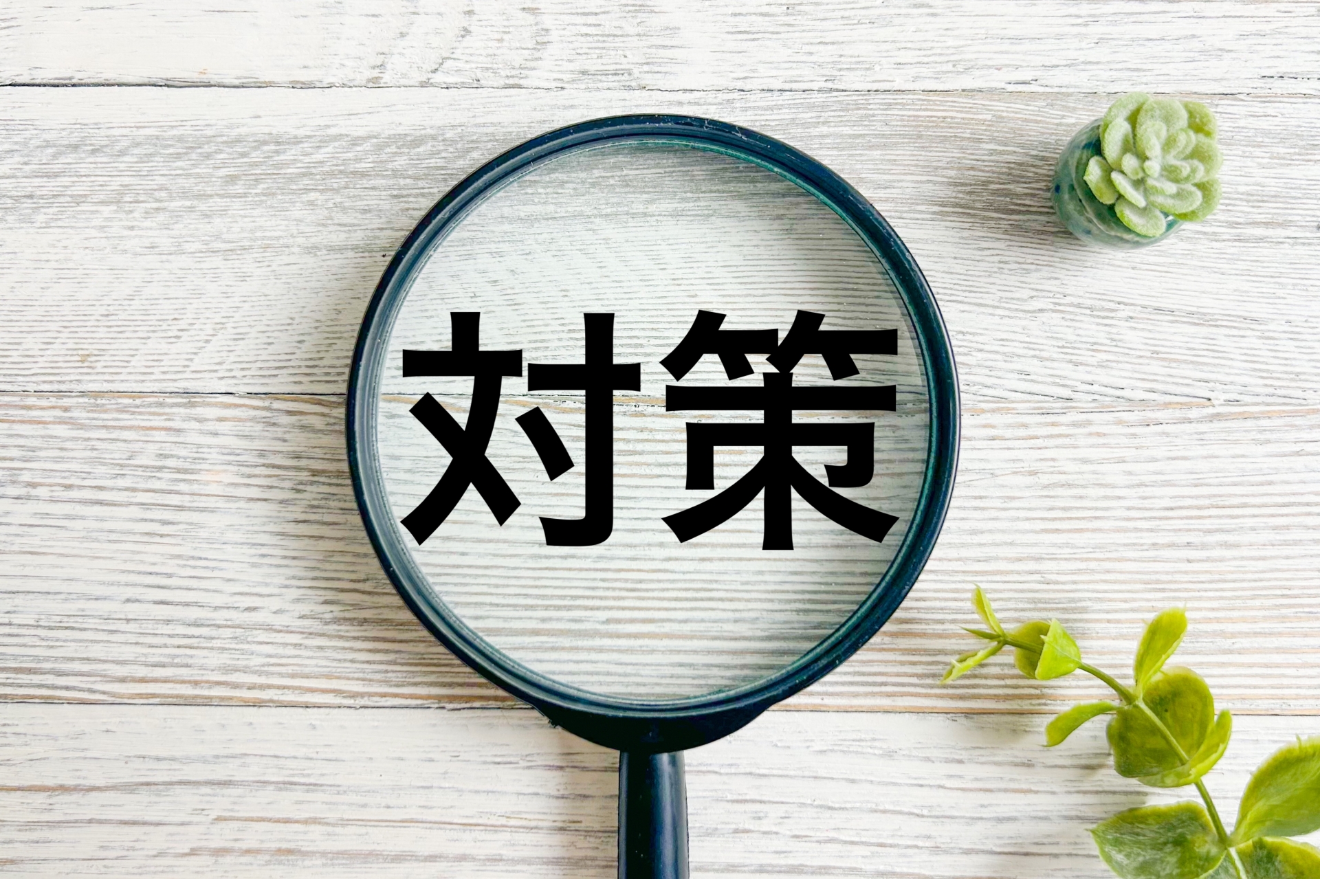 対策の文字とルーペ