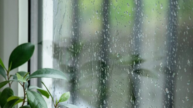 雨の窓辺