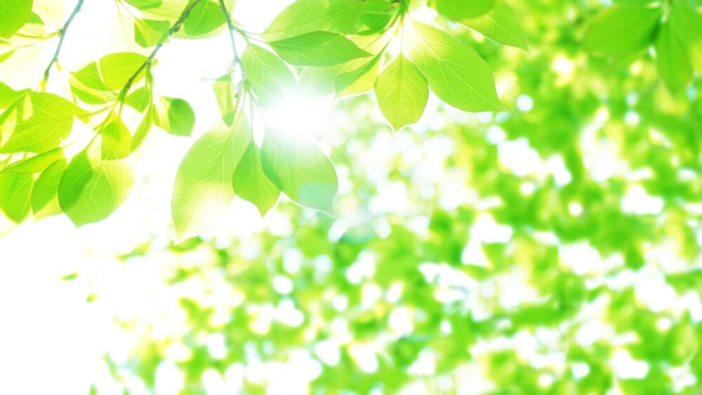 緩和ケアはいつから受けるもの？がんと診断されたときから始まる理由とは