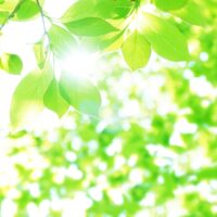 緩和ケアはいつから受けるもの？がんと診断されたときから始まる理由とは